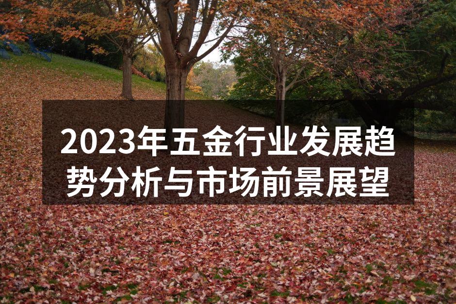 2023年五金行业发展趋势分析与市场前景展望