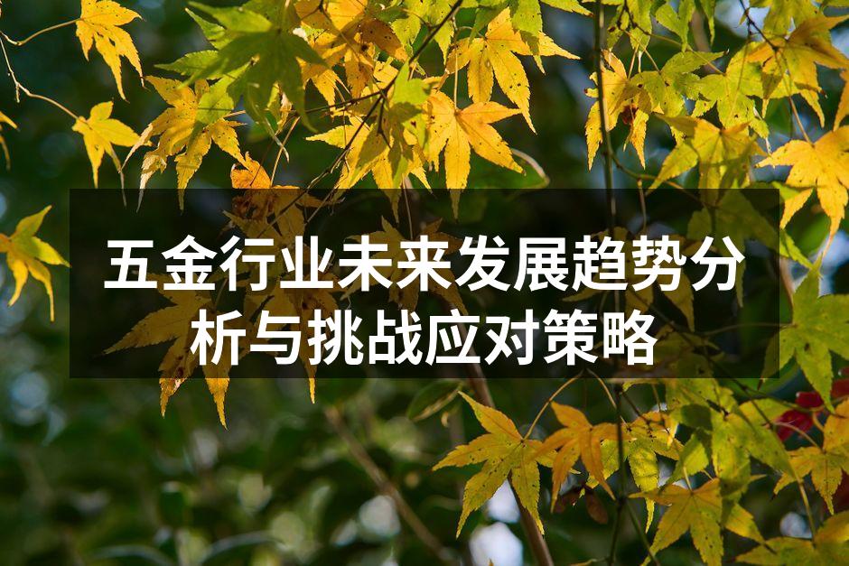 五金行业未来发展趋势分析与挑战应对策略